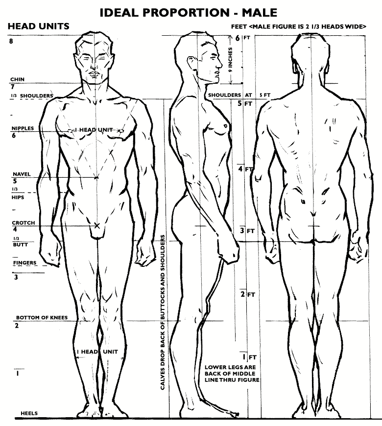 Male Proportion