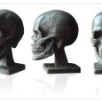 $39.97 - Great for anatomy study ,reference for drawing , sculpting, 3D modeling and concept art work.