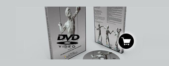 DVD : Sculpting the Ecorche Male